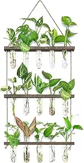 Cozioz Wall Hanging Propagation Station with Wooden Stand, 5 Glass Test Tubes, 3-Tiered Planters, Wall Terrarium for Home or Office, Hydroponic Cuttings, Plant Hanger, Flower Vases Wall Decor