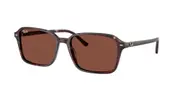 RAY-BAN-0RB2231F-1416C5-5618-SUNGLASSES