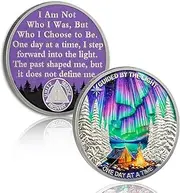 YRCKUDZKG Guided by Northern Lights 2 Year Sobriety Coin - One Day at a Time AA Coin, Alcohol Free Two Year Recovery Chip with Token Capsule, Sobriety Gifts for Men Women