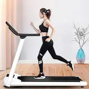 Treadmills for Home,Treadmill,Small Multifunctional Walking Machine,Folding Treadmill Ultra Thin and Silent,Intended for Home/Office,Portable Gym Equipment