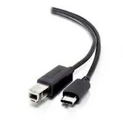 Alogic 1m USB 2.0 Type-B to Type-C Cable (M/M)