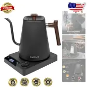 Beautifully Polished Electric Kettle with Gooseneck Spout - Perfect Tea & Coffee
