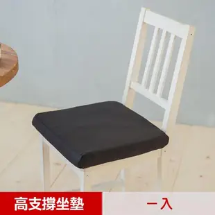 【凱蕾絲帝】台灣製造 久坐專用二合一高支撐記憶聚合紓壓坐墊(2色可選)