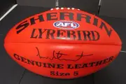 Richmond - Ian Stewart (Brownlow Medal) signed Red sherrin football -LyreBird