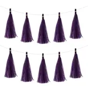 30Pcs Dark Purple Tassel Garland Banner with Rope