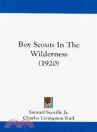 在飛比找三民網路書店優惠-Boy Scouts in the Wilderness