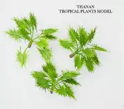 1/35 Scale Jungle plants model set. Approx 6 CM. HEIGHT. 3 plants/1 set. TPV-123