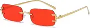 [HPIRME] Rimless Rectangle Vintage Metal Frames Sunglasses Women Frameless Tinted Sun Shades For Female