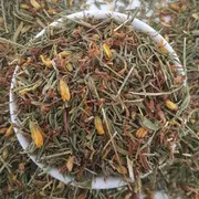 St Johns Wort Tea