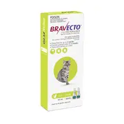 Bravecto Spot On For Cats Green