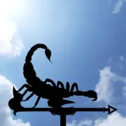 Scorpion Metal Weathervane, Weather Vane Scorpio, home roof decor