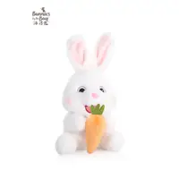 在飛比找蝦皮購物優惠-海灣兔兔子玩偶小白兔毛絨玩具公仔可愛生日安撫娃娃bunnie