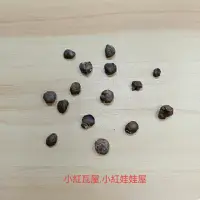 在飛比找蝦皮購物優惠-小紅瓦屋.不知名咖啡色種子猢猻樹種子1粒1元(奇怪的種子)