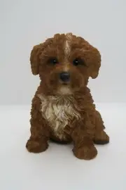CAVOODLE STATUE BROWN PUPPY DOG ANIMAL GARDEN ORNAMENT SCULPTURE