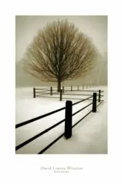 Solitude by David Lorenz Winston Art Print Tree Landscape Photo Poster 24x36
