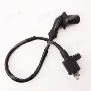 Ignition Coil For Yerf Dog Gx150 SPIDERBOX 150cc Dune Buggy GoKart Go Cart