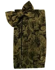 NEW Men's Cardi New Gold Paisley Tuxedo Tux Cummerbund Bow tie Hankie.TUXXMAN