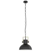 Lubenham 1 Light Pendant Black / Brown - 43162N