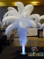 1000 PCS OSTRICH FEATHERS 10-12inches/25-30cm wedding white