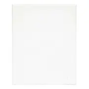 NEW Jasart Academy Canvas Panel By Spotlight