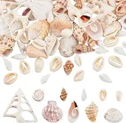 PH PandaHall 10 Kinds Small Sea Shell, 250g Ocean Beach Spiral Seashells Craft Charms with 1~2mm Hole for Candle Making, Home Decoration, Beach Theme Party Wedding Decor, Fish Tank Vase Filler