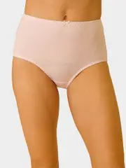Cotton Jersey 2Pack Full Brief