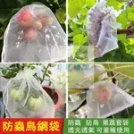 【100個】水果套袋 防蟲網袋 水果網袋 防鳥網 芭樂套袋 網袋 芒果套袋 水果套袋 防蟲網罩 百香果網袋 水果包裹袋