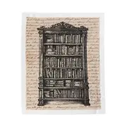 Vintage Bookshelf Jane Austin Soft Plush Blanket - Romance and Bookish Girlies