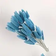 240-Piece 19-Inch Long Rabbit Tail Grass and Foxtail Grass Dried Flower Bouquet ,Natural Rabbit Tail Grass, DIY Flower Arrangement Craft for Wedding Parties.(Royal Blue)