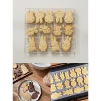 在飛比找蝦皮購物優惠-現貨供應～日本🇯🇵Miffy 米飛兔蛋糕烘焙模具 果凍🍮餅乾