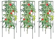 Qkbuza Tomato Cage | Plant Support,3 Piece Heavy-Duty Rack for Climbing Vegetables Cucumber Fruits Flower Peony Rose Gardening Lawn Outdoor Pots Patio Beds
