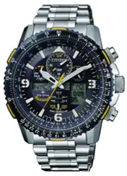 Citizen Promaster Eco-Drive Pilots Watch