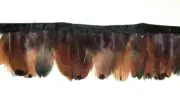 1 yard pheasant feather fringe on black bias fabric 2" total hanging length