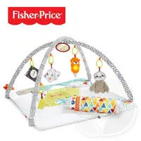 在飛比找蝦皮商城優惠-Fisher-Price 費雪 感官訓練可愛動物健身器【佳兒