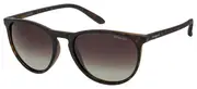 Sunglasses POLAROID PLD 6003/N/S V08 HAVANA 54/19/140 UNISEX Brown 54 mm