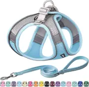 No Pull Dog Harness Leash Set Small Medium Step In Adjustable Padded Vest Blue