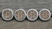 Genuine Yamaha Tuba Finger Button-Silver With Custom Inset #AB05