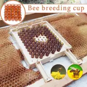 500Pcs Queen Rearing System Honeybee Cultivating Cage Beekeeping Box Bee Cup NEW