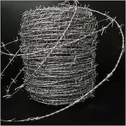 Razor Wire Barbed Wire 4 Point Barbed Wire, Anti-Climbing Double Twisted Barbed Coils, Barbed Wire Barb Craft Wire for Fence Baseball Bat Residential