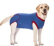 Dog surgical recovery kit, dog waterproof recovery kit, wound protection surgical suit, postoperative cone replacement, postoperative female or male surgical suit (XL, Blue)