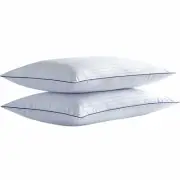 Thin Flat Bed Pillows Standard Size Set of 2 Pack for Sleeping, Squishy Fluff...
