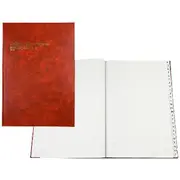 Collins Debden 3880 A4 Account Book Indexed