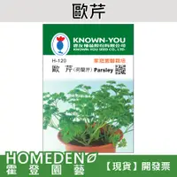 在飛比找蝦皮購物優惠-【台灣現貨】歐芹 H-120 荷蘭芹 香草種子 農友牌 小包