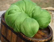 Corriedale Wool Tops roving Leaf, DHG 50g needle and wet felting spinning