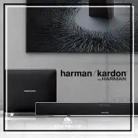 在飛比找Yahoo!奇摩拍賣優惠-【愛拉風】 Harman Kardon Sabre SB35