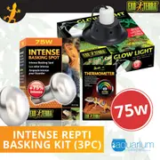 Exo Terra Intense Repti Basking Spot Lamp Kit 75W (3pc)