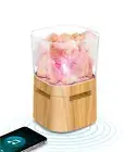 Lomi Himalayan Salt Lamp With Wireless Speaker