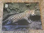 2022 WORLD WILDLIFE FUND 12 MONTHS WALL DESK CALENDAR LARGE 14" X 22" ANIMALS