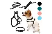 PIPCO PETS SuperLite Bundle - Lightweight Harness, Collar, and Leads for Small Dogs and Cats (Black)