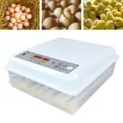 Smart Digital Egg Incubator Automatic Turning Water Adding for Hatching Eggs AU